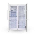 یخچال و فریزر دوقلو دیپوینت مدل D5i - تصویر 3